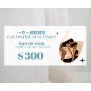 一對一瑜伽私人課試堂 一對一瑜伽私人課試堂